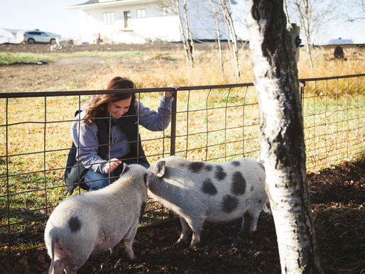 Gardening...the challenges of beginners!