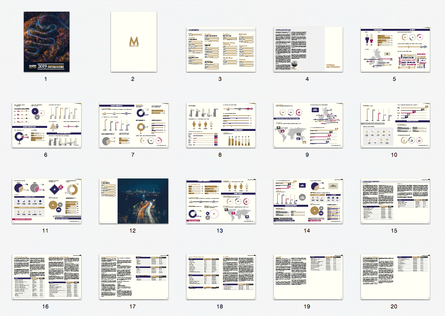 report_preview.gif