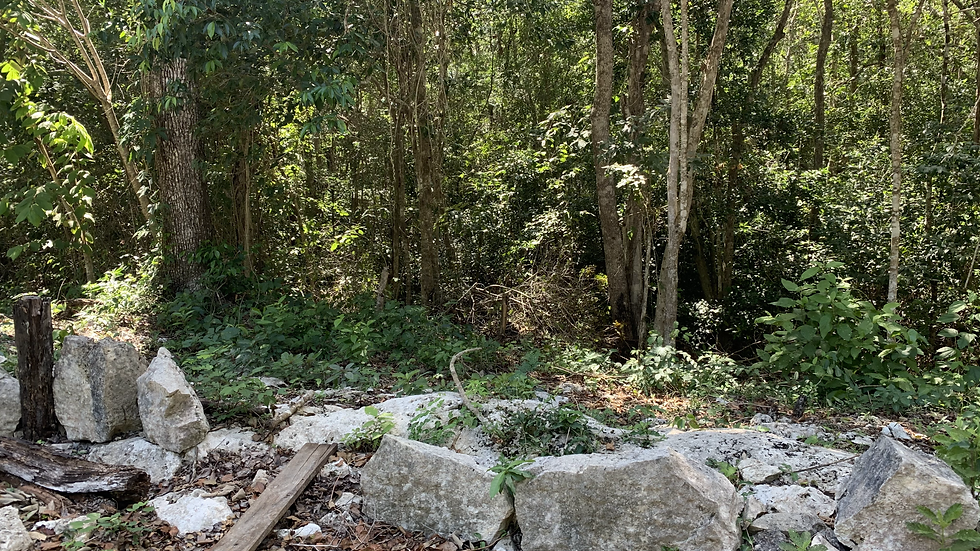 Thumbnail: Haciendas Cobá - 400 m2