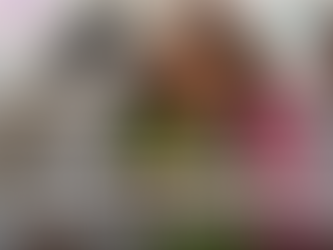 Do Nacional ao Regional:O Mapa da Descentralização do Minc e da Produção Cultural em 2026