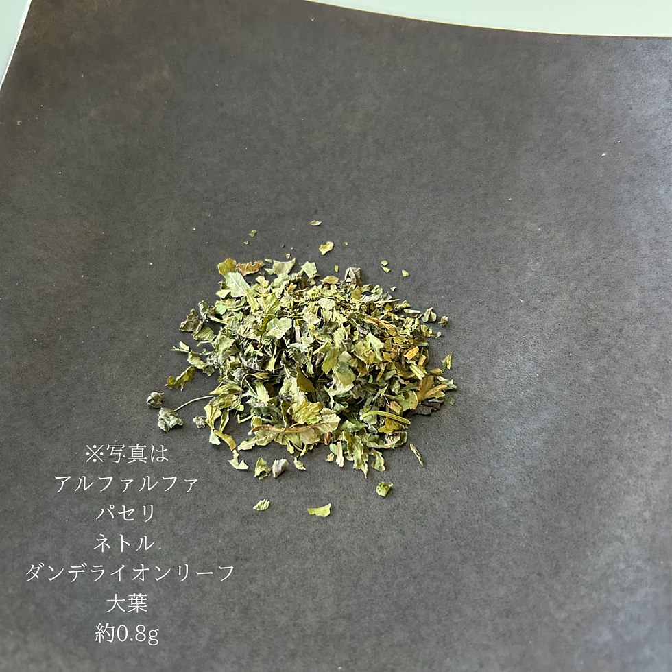 サムネイル： RAW FOOD -彩-