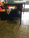 image5.jpeg