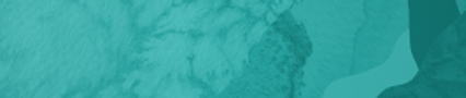 Art6 copiar.png