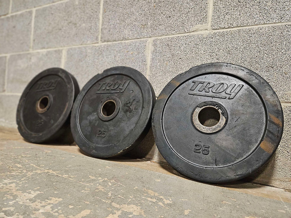 Thumbnail: 25lb Olympic Troy Rubber Weight Plate (Single)