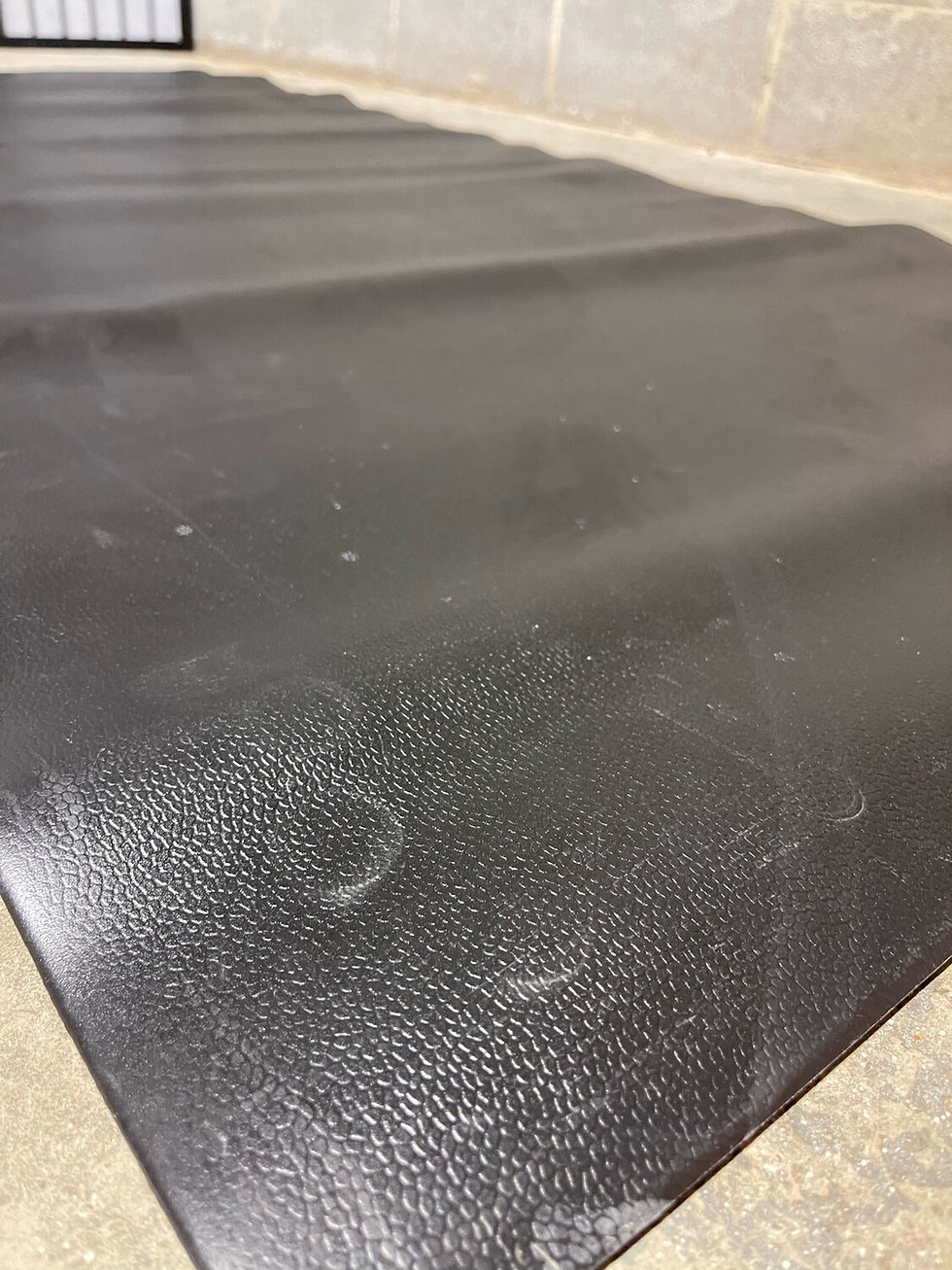 Thumbnail: Exercise Mat