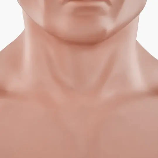 Thumbnail: BOB closer look