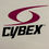 Thumbnail: Cybex VR2 Series 4711 Back Extension