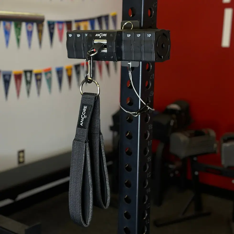 Thumbnail: Ancore Multi-Strap