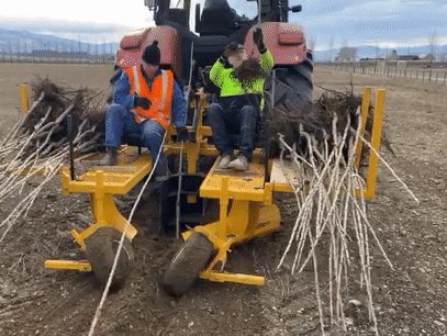 Tractor aided planting