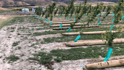 Strainers and Poles, laid out in the rows and ready to be vibrated in.