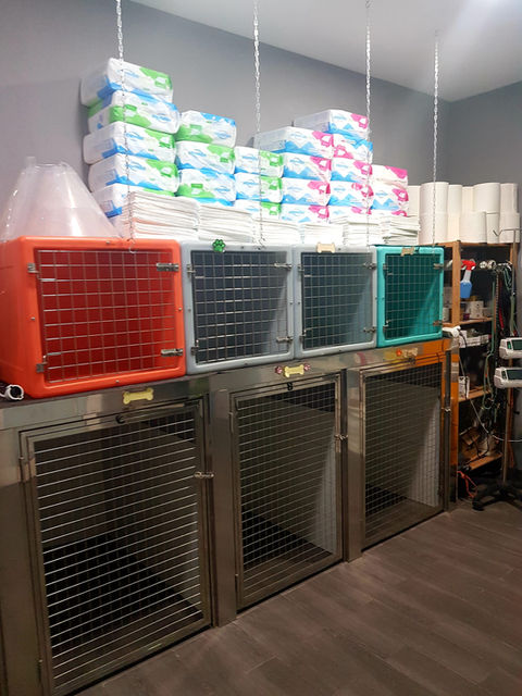 PHOTO-2021-05-27-23-28-07 6.jpg