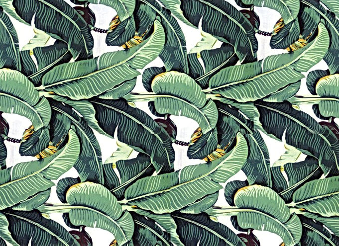 martinique-wallpaper-palm.jpeg