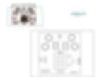 50 Guest Layout