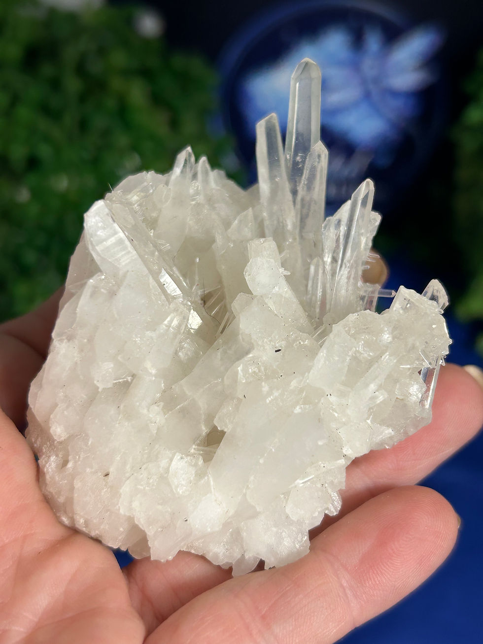 Thumbnail: Clear Quartz Cluster