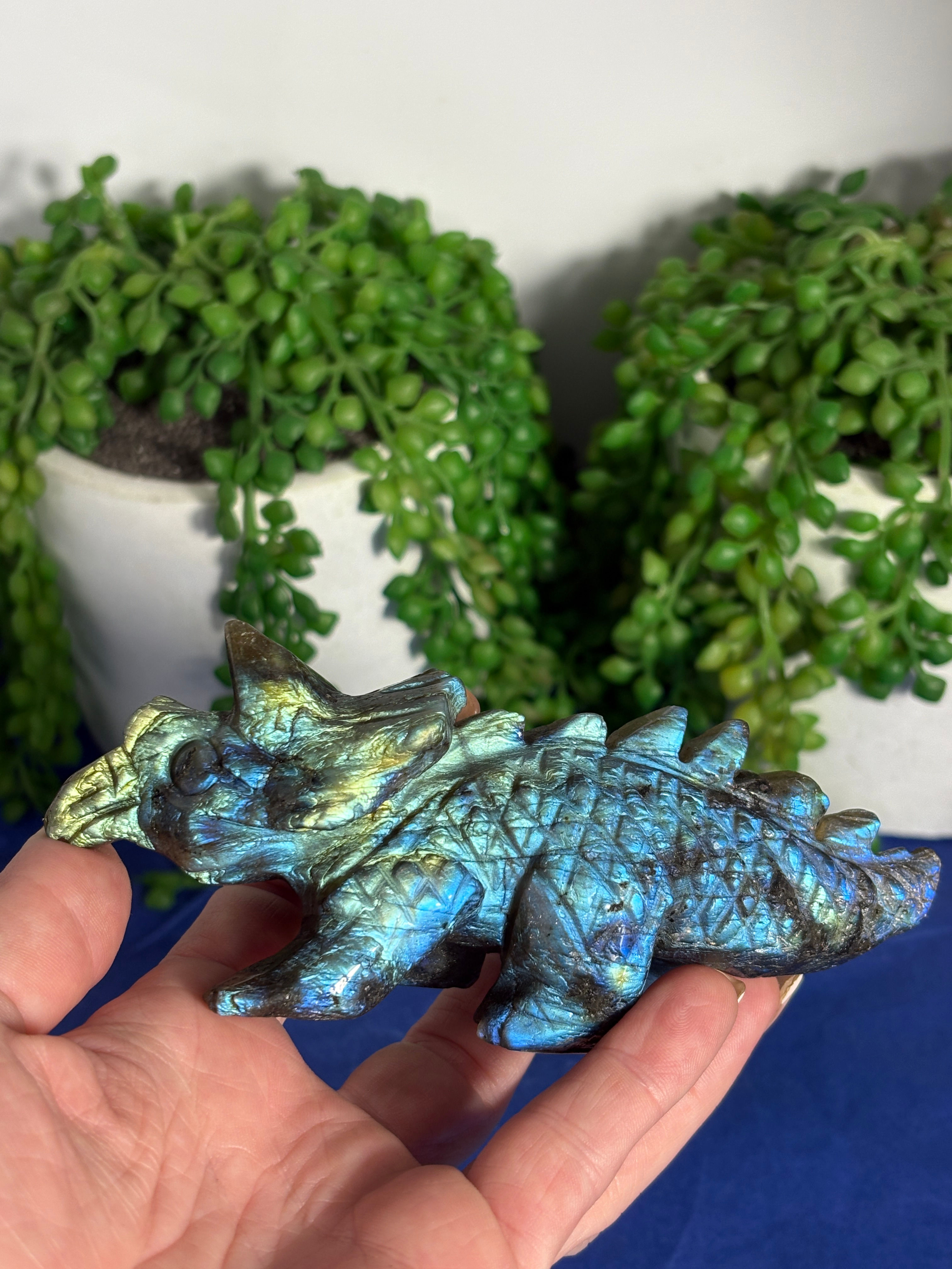 Labradorite Triceratops