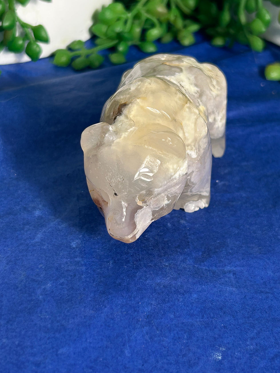 Thumbnail: Flower Agate Bear