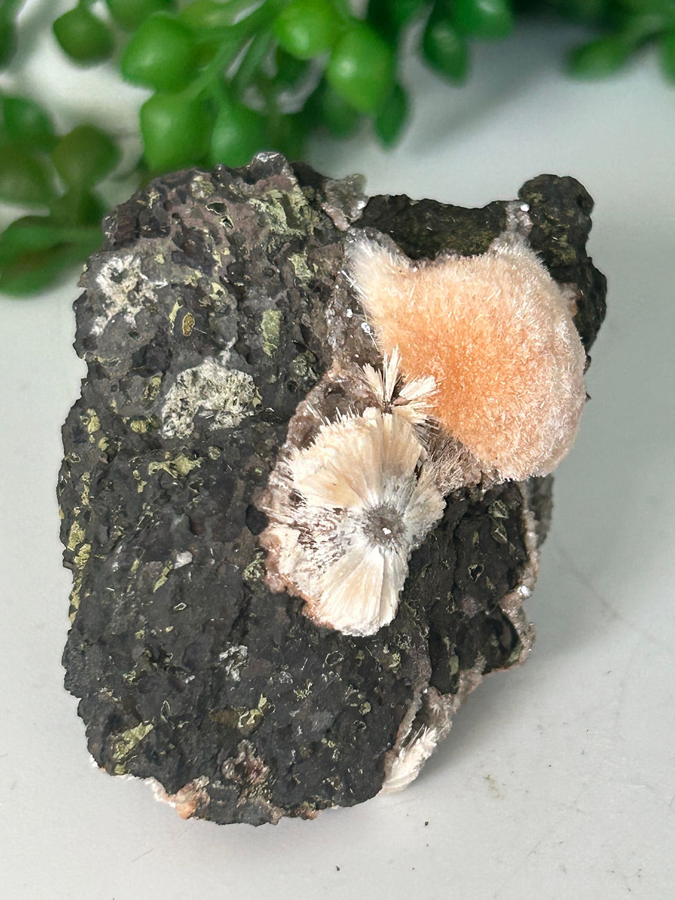 Thumbnail: Thomsonite Specimen