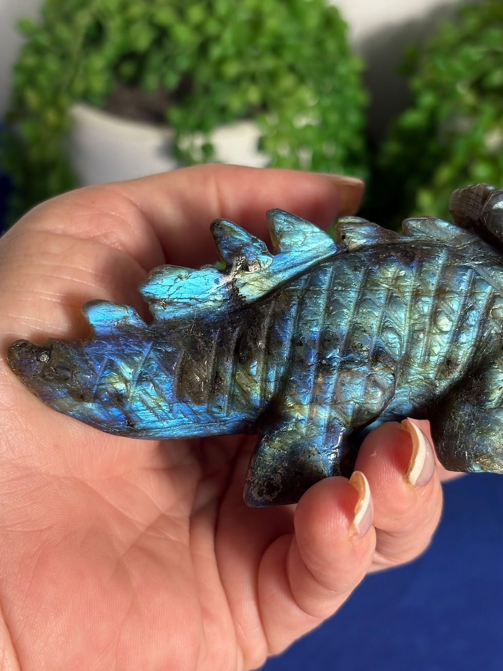 Thumbnail: Labradorite Triceratops