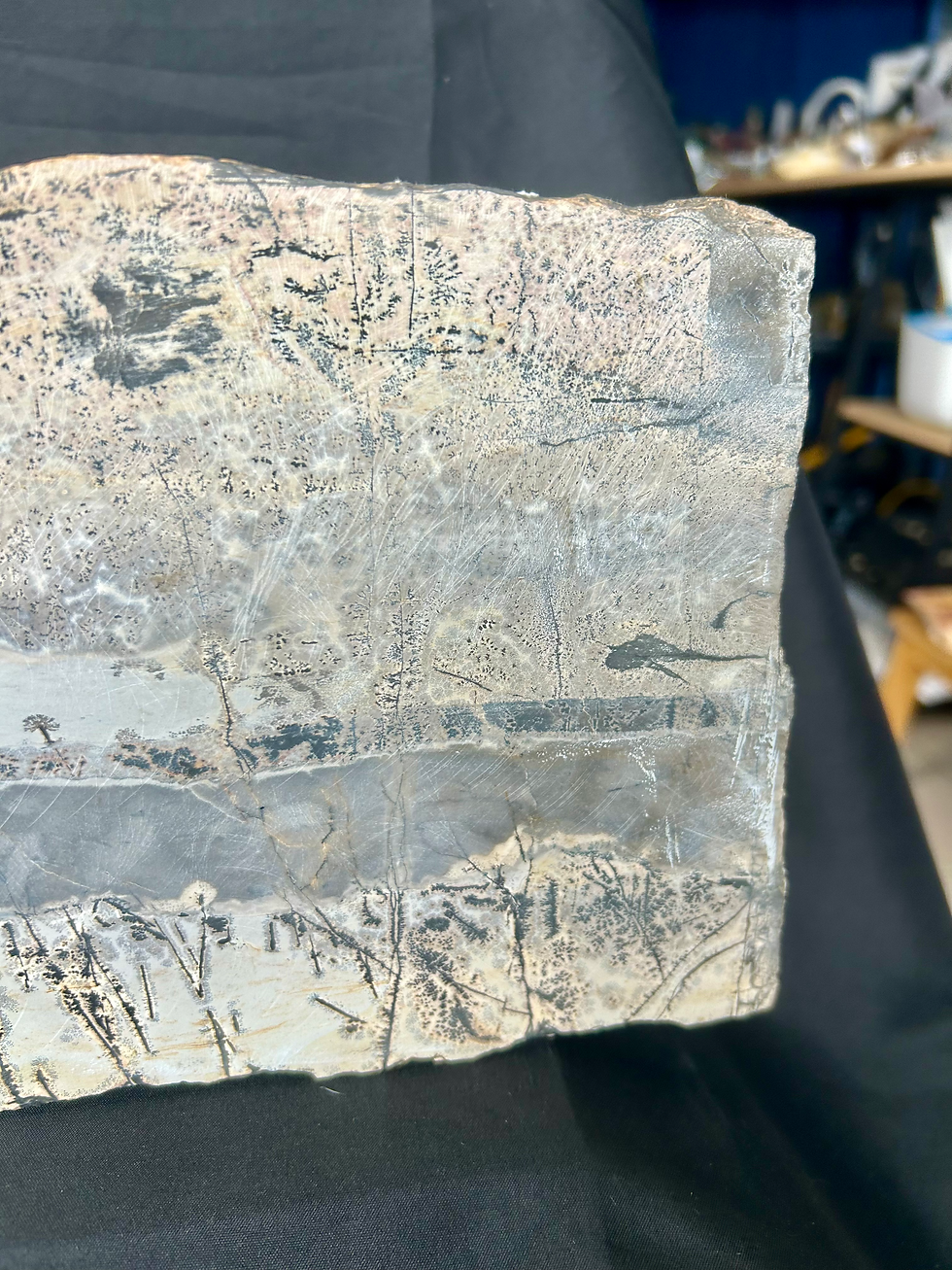 Thumbnail: Dendritic Picture Jasper Slab