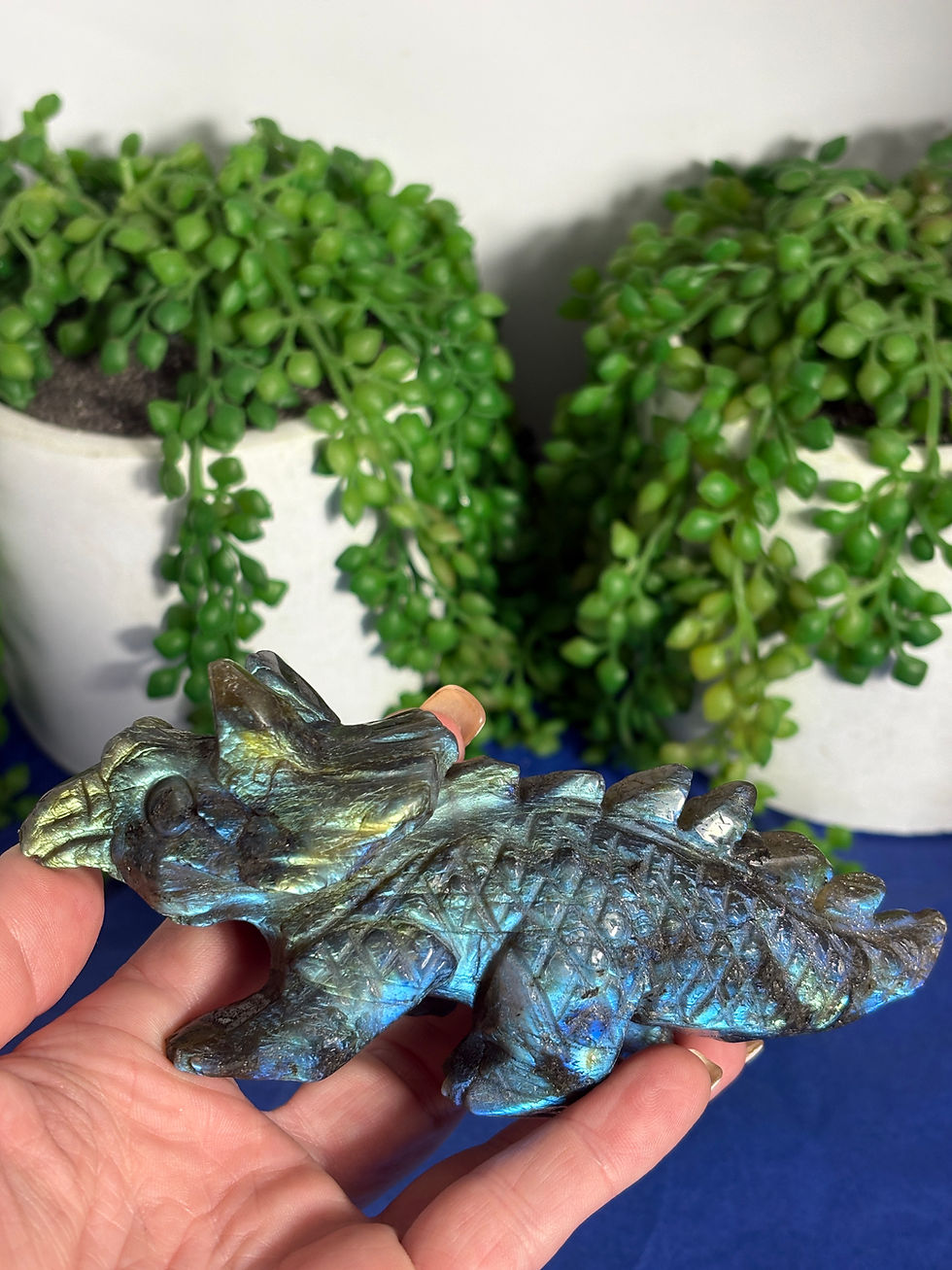 Thumbnail: Labradorite Triceratops