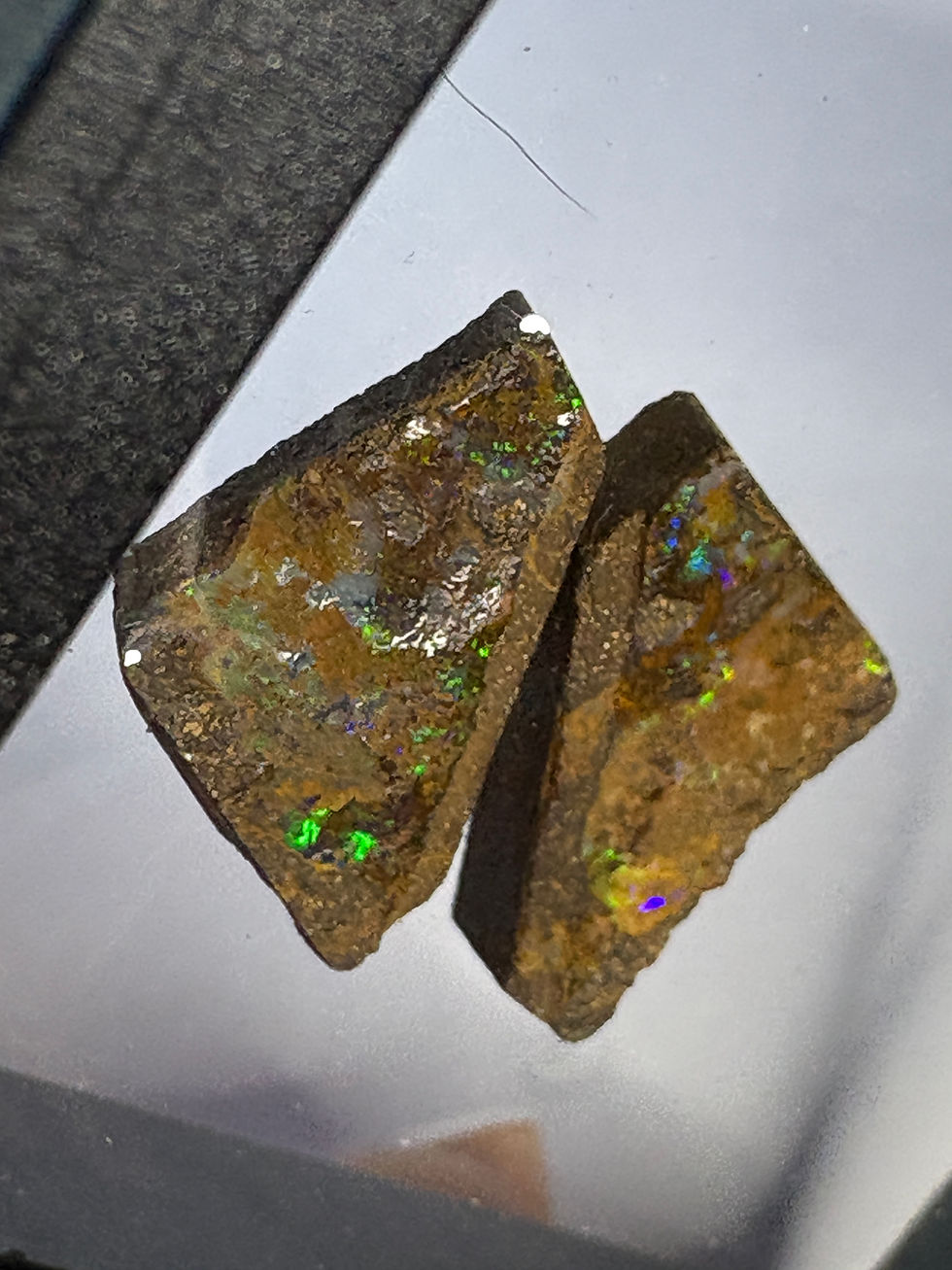Thumbnail: Boulder Opal