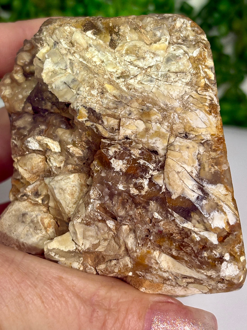 Thumbnail: Brecciated Mookaite Freeform