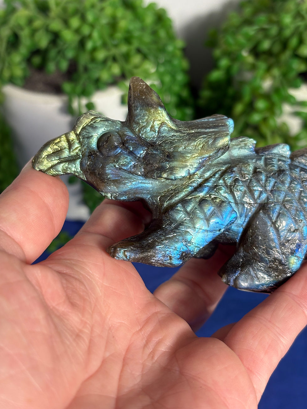 Thumbnail: Labradorite Triceratops