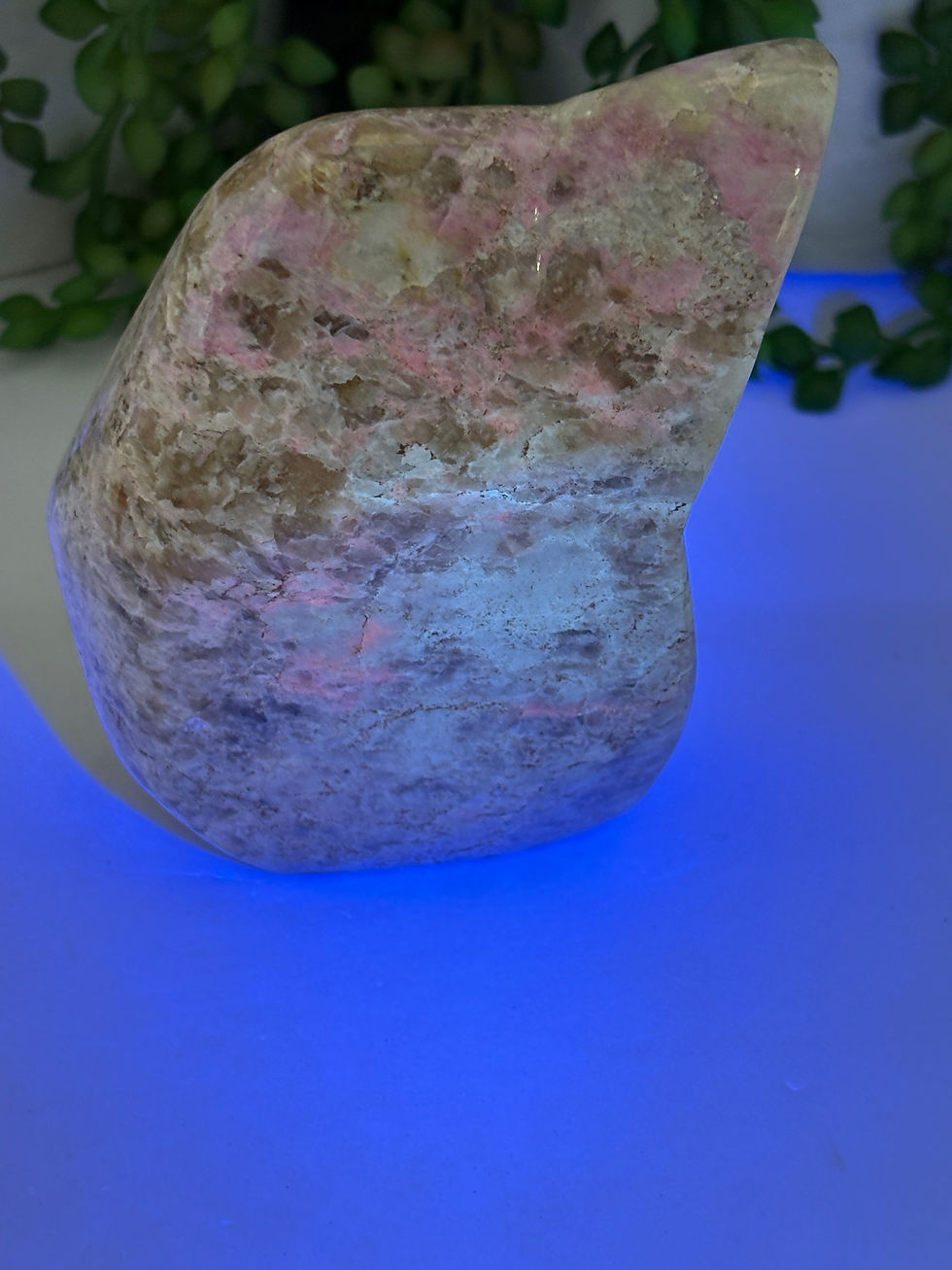 Thumbnail: Hackmanite Freeform