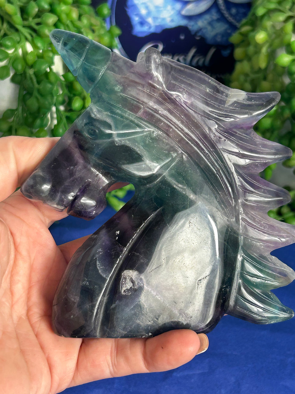 Thumbnail: Fluorite Unicorn 