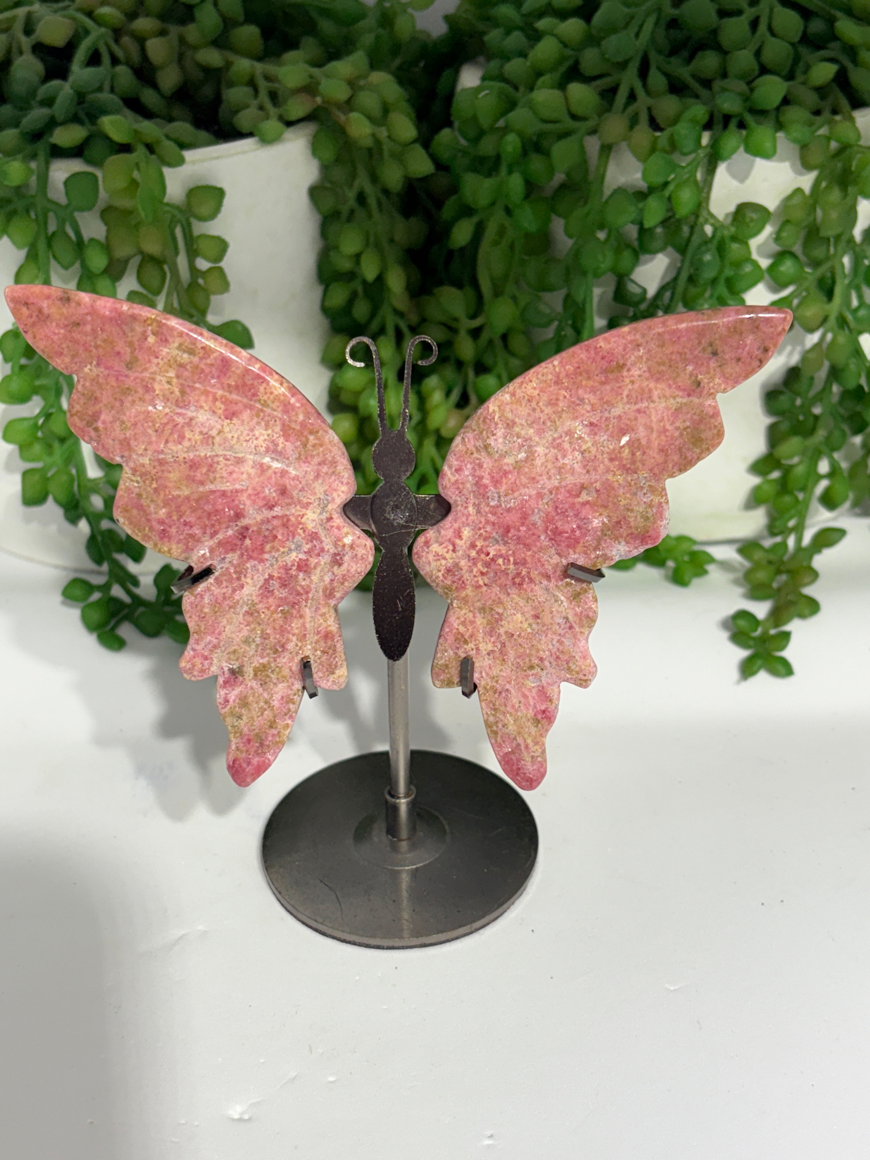 Peruvian Rhodonite Butterfly Wings on Stand