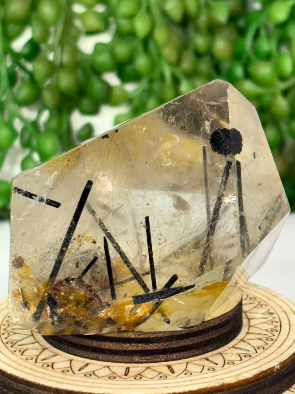Thumbnail: Black Tourmaline in Quartz Freeform