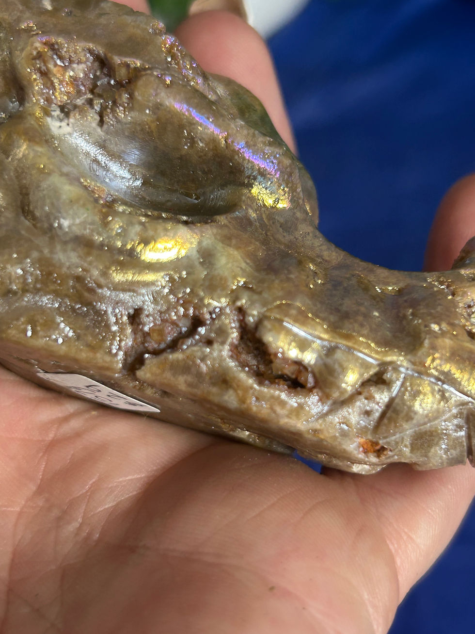 Thumbnail: Aura Sphalerite Dragon Head