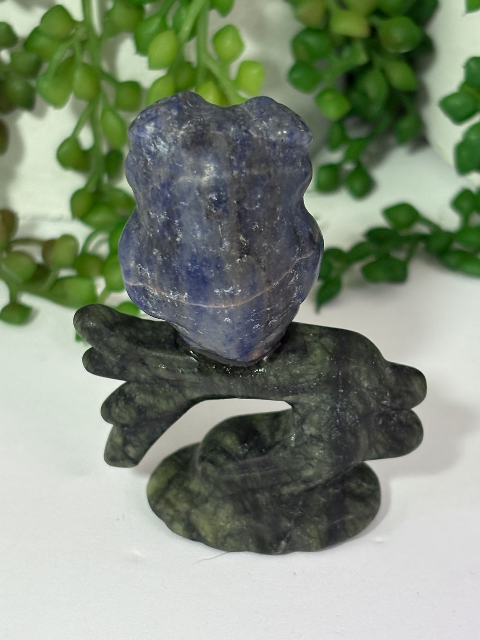 Thumbnail: Sodalite Owl on Jade Branch Carving