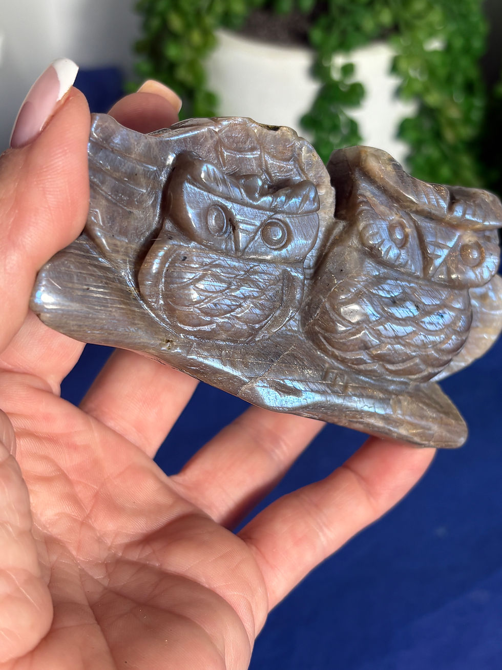 Thumbnail: Moonstone Owl