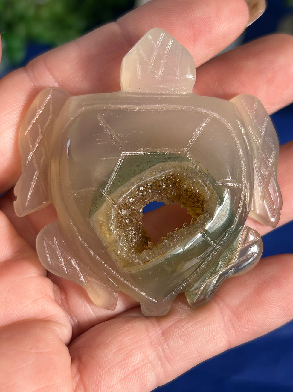 Thumbnail: Druzy Agate Turtle