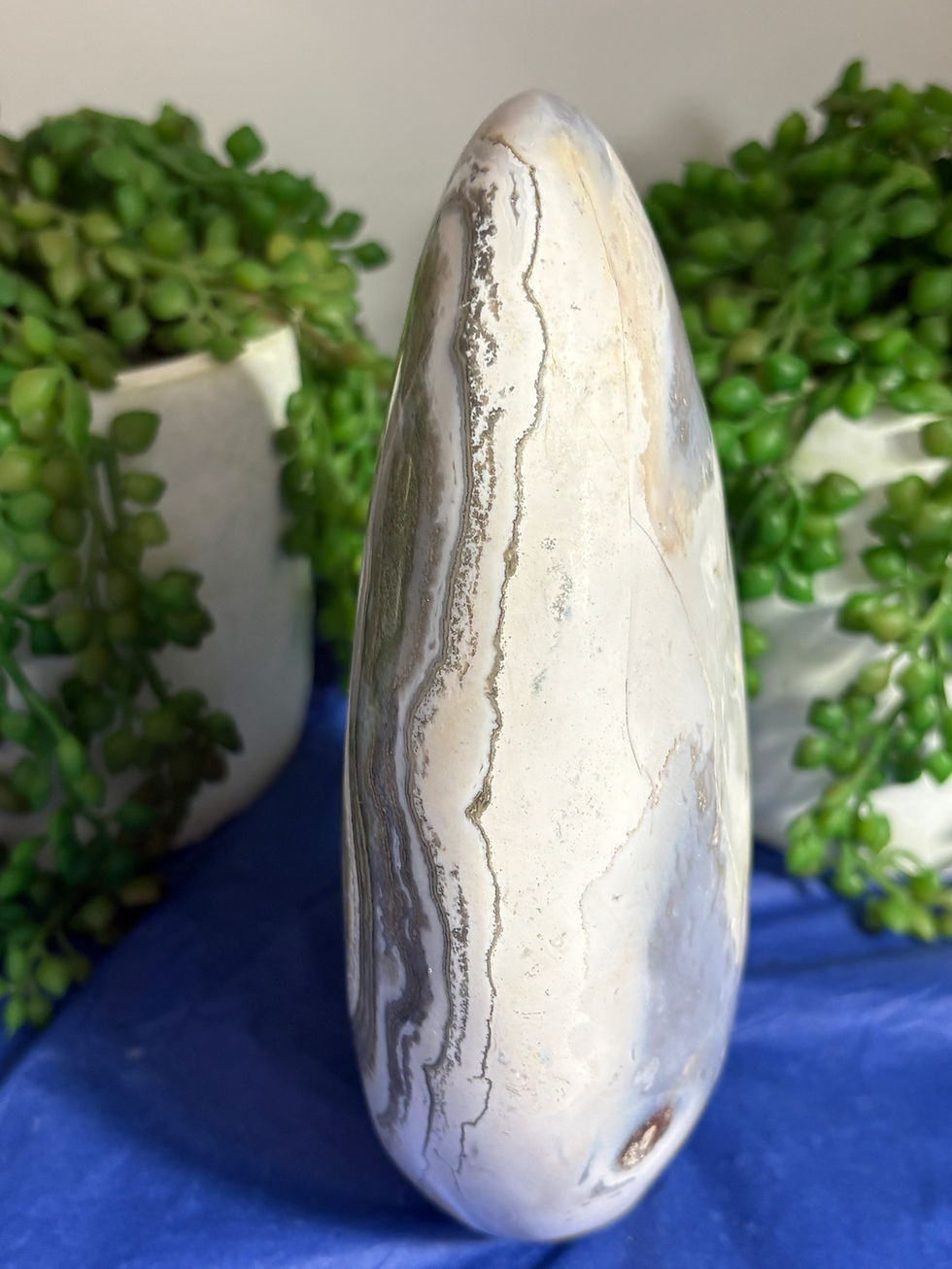 Thumbnail: XL Jasper Freeform