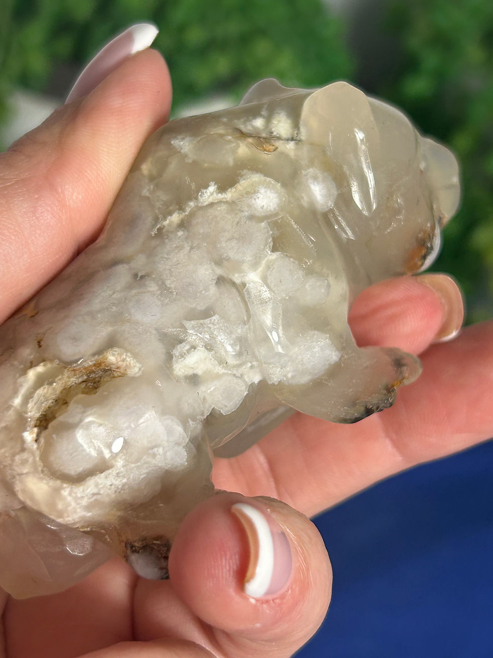 Thumbnail: Flower Agate Bear