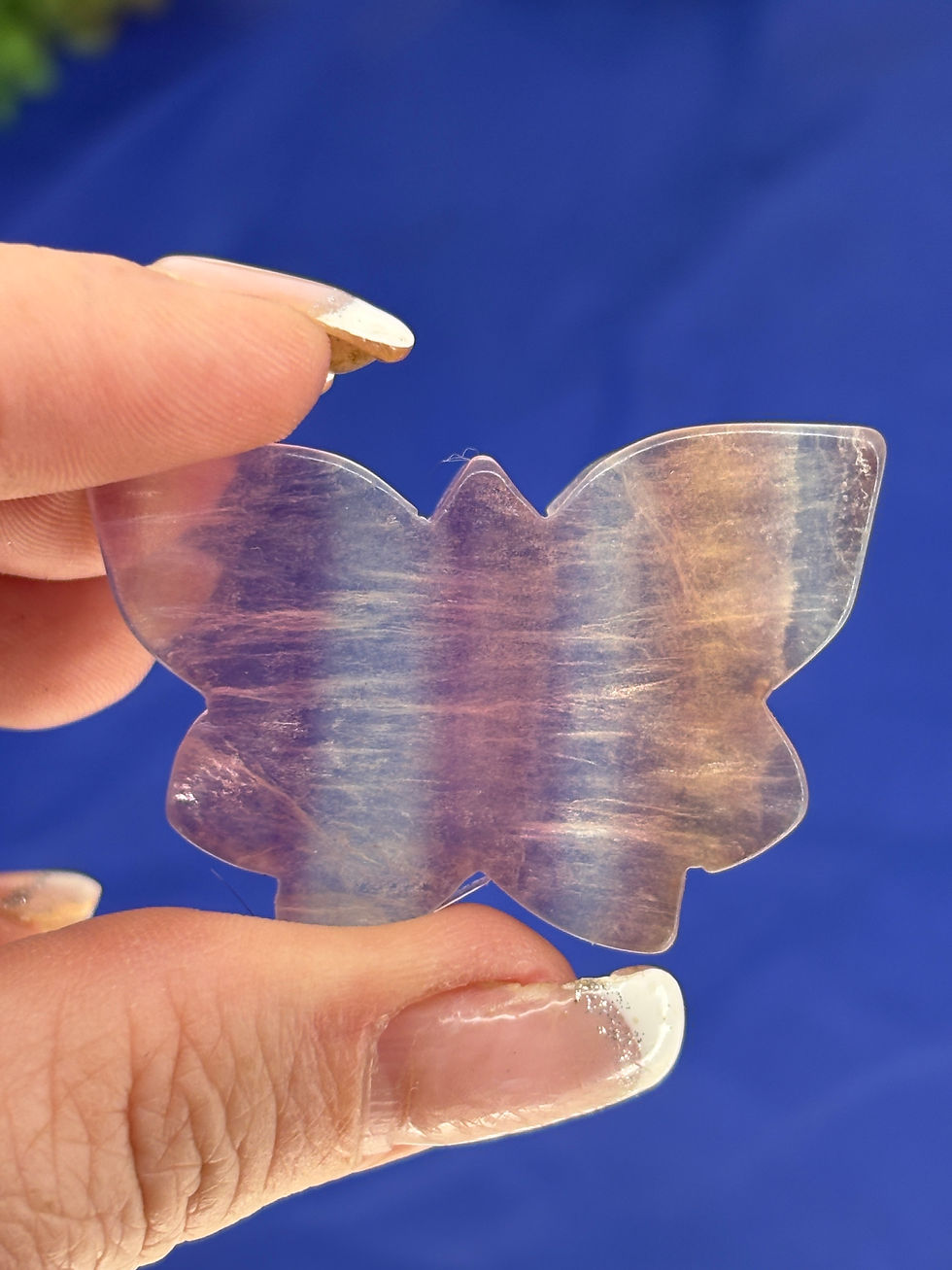 Thumbnail: Fluorite Butterfly