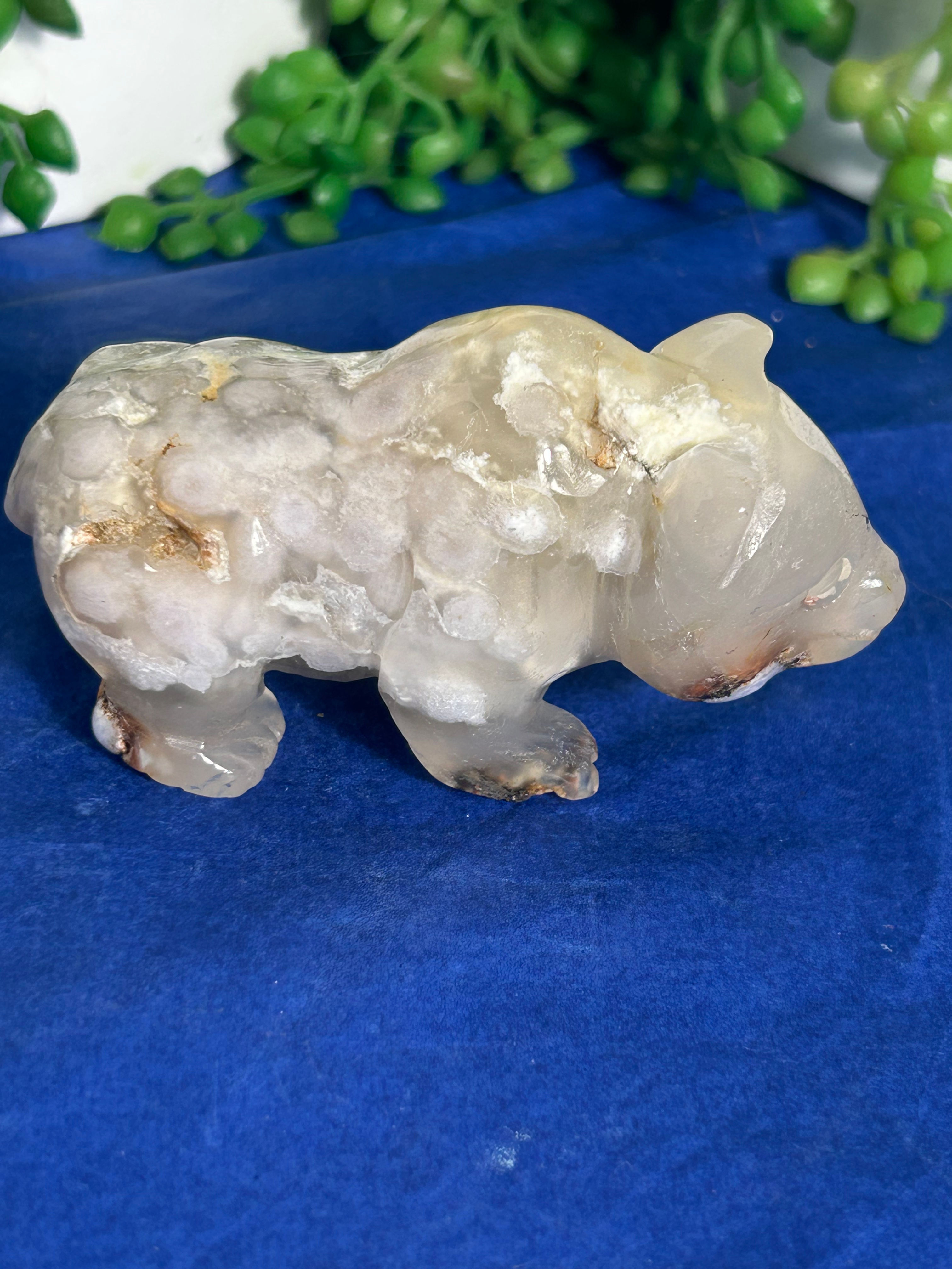 Flower Agate Bear