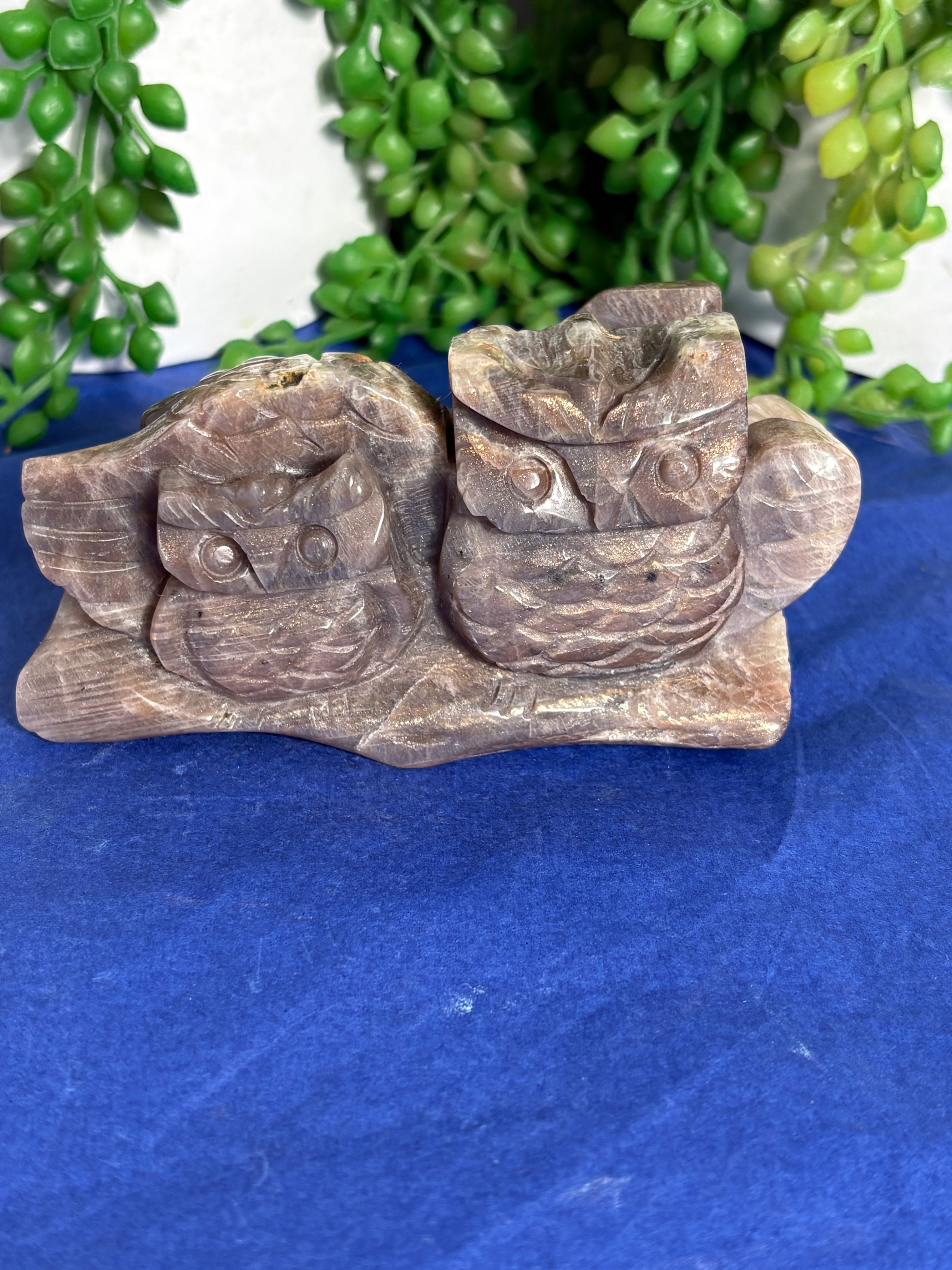 Moonstone Owl
