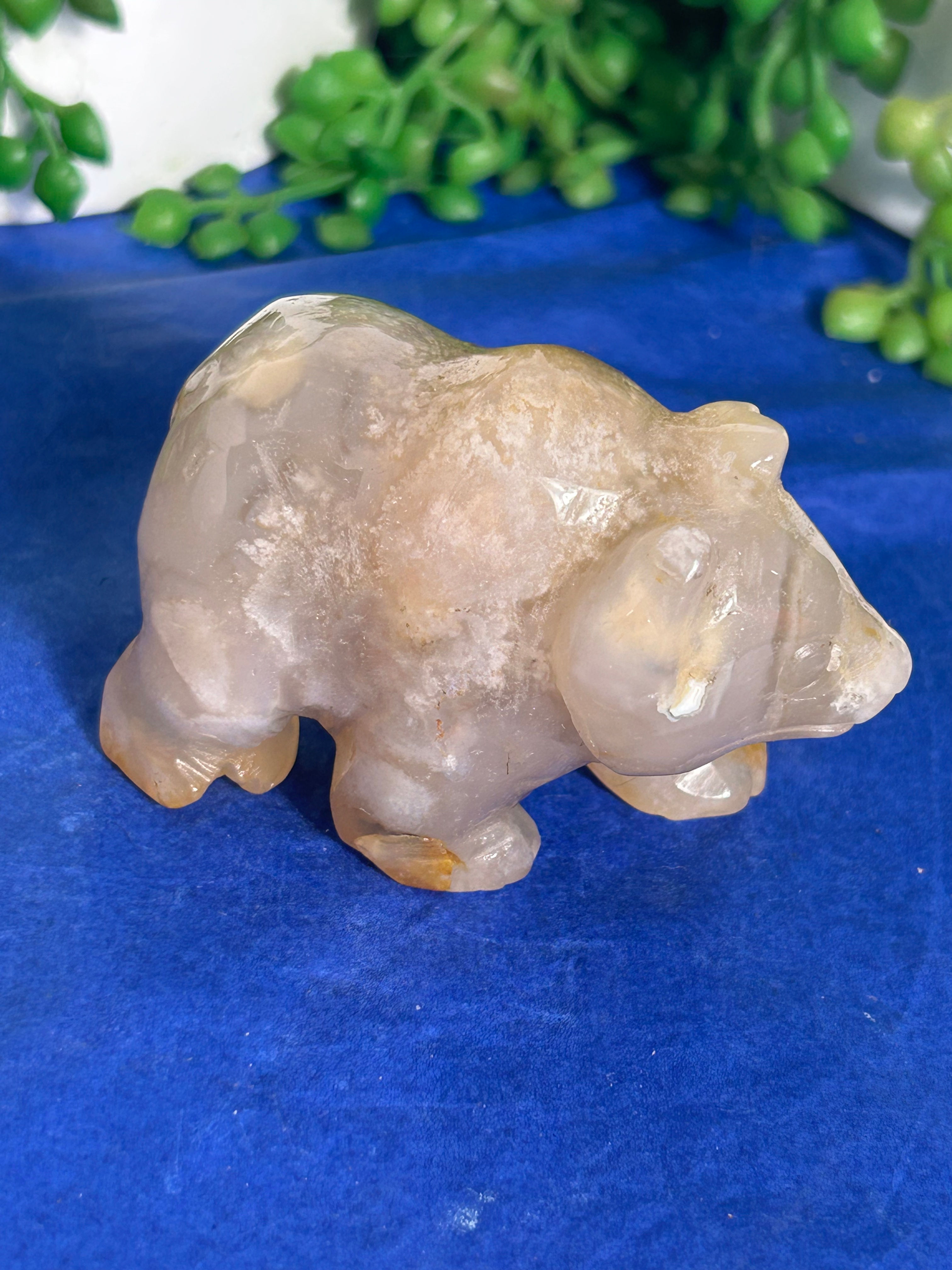 Flower Agate Bear