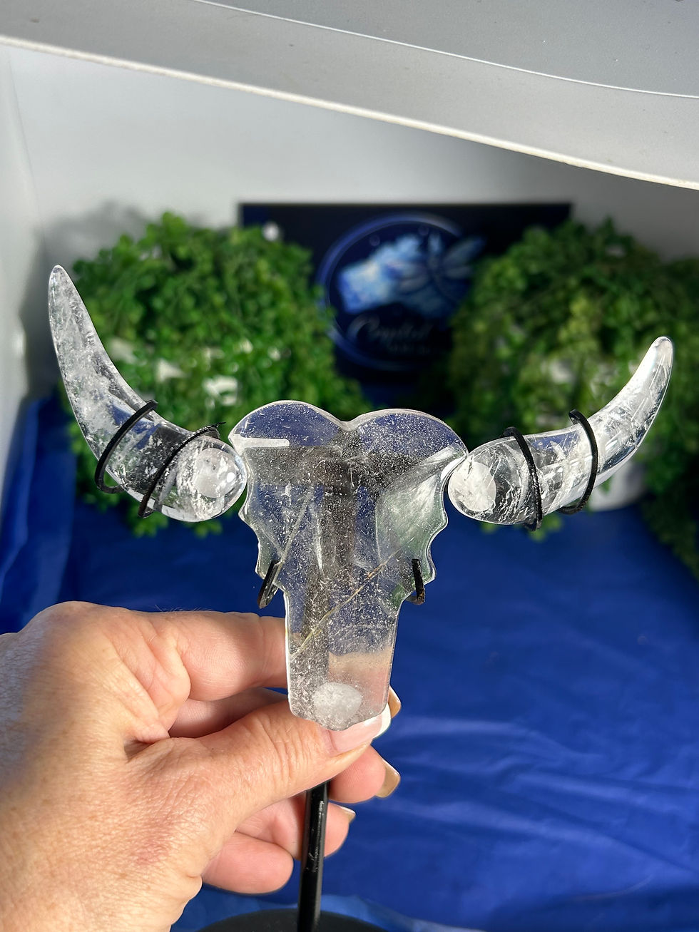 Thumbnail: Clear Quartz Bull Skull on stand