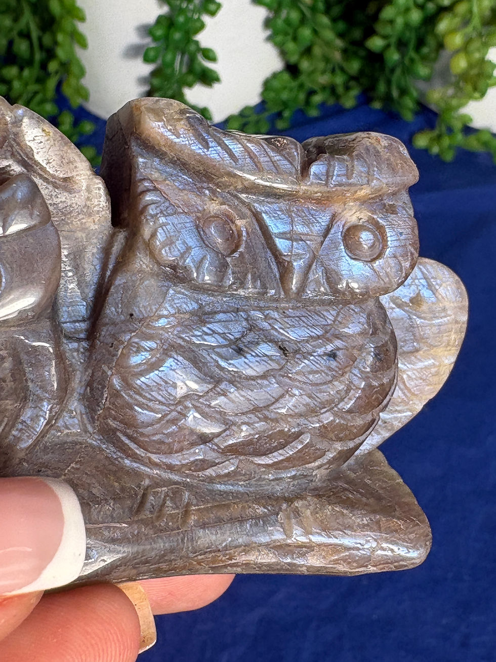 Thumbnail: Moonstone Owl