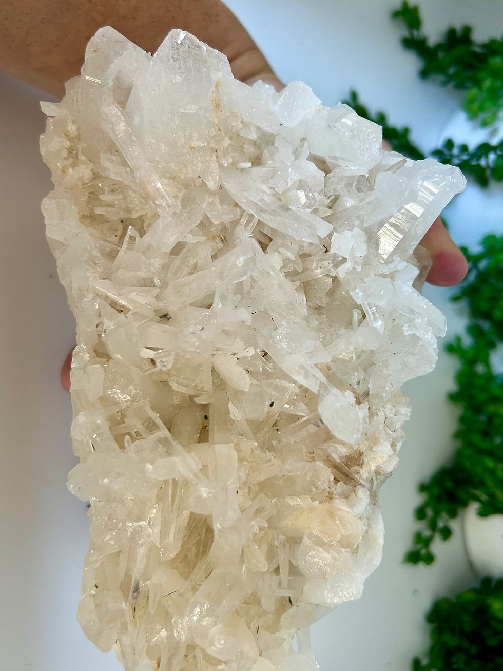 Thumbnail: Clear Quartz Cluster