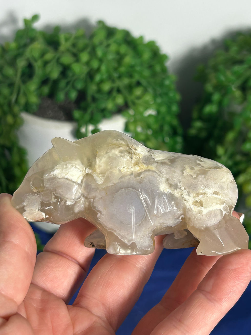Thumbnail: Flower Agate Bear