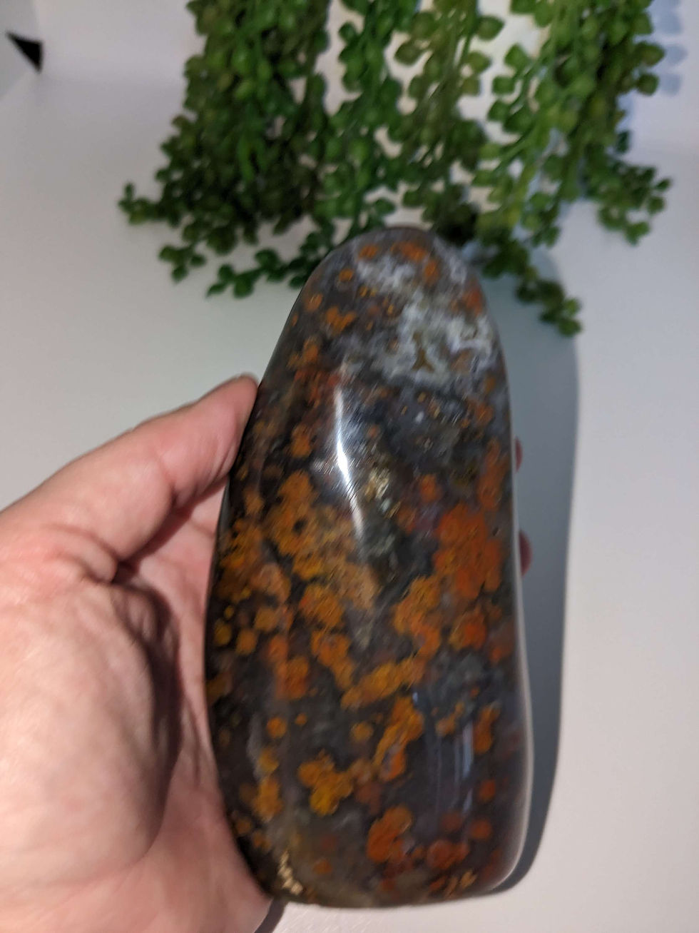 Thumbnail: Ocean Jasper Freeform