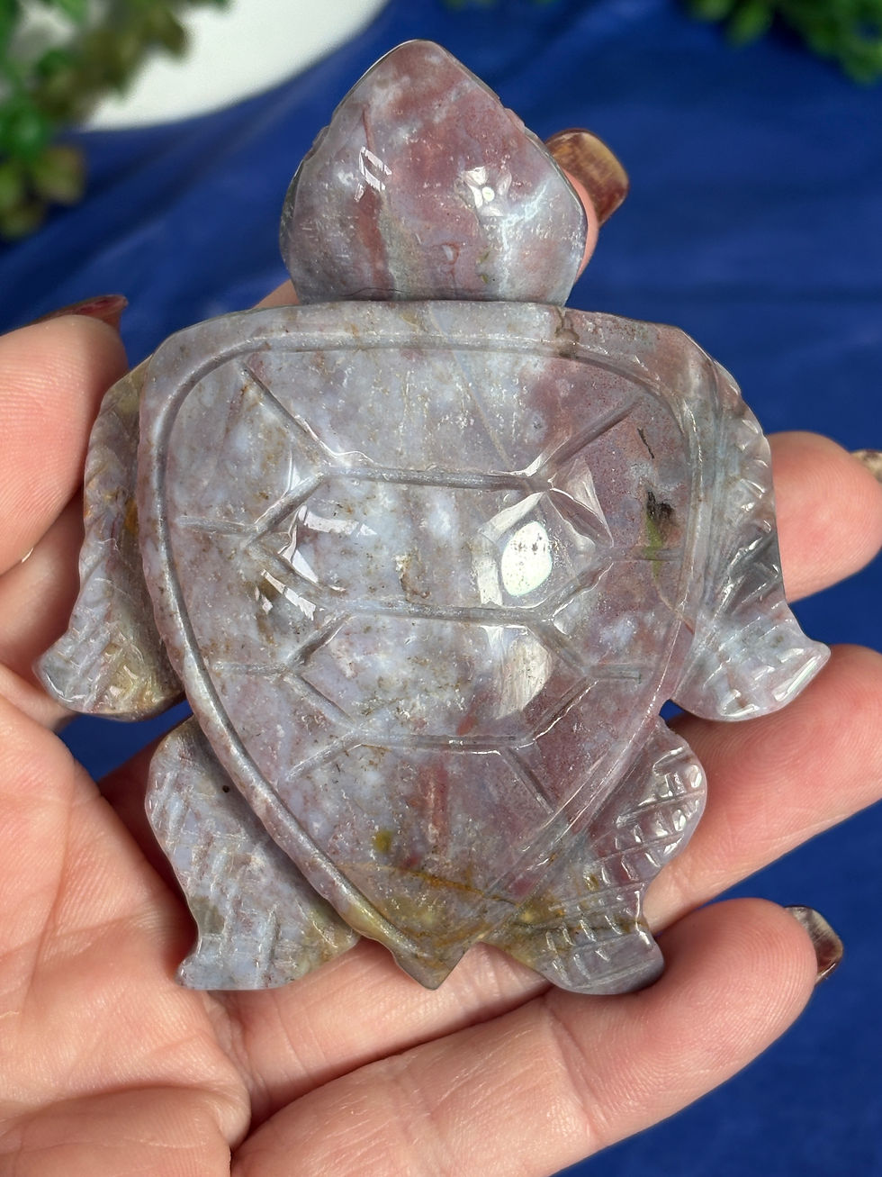 Thumbnail: Ocean Wave Jasper Turtle