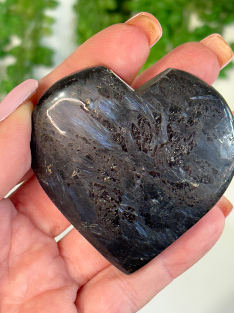 Thumbnail: Garnet with Astrophyllite & Arfvedsonite Heart