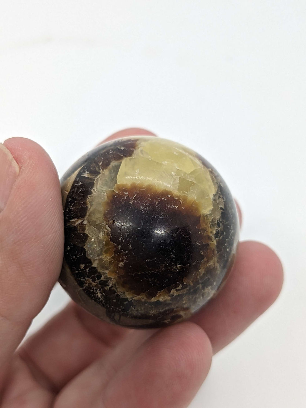 Thumbnail: Septarian Sphere