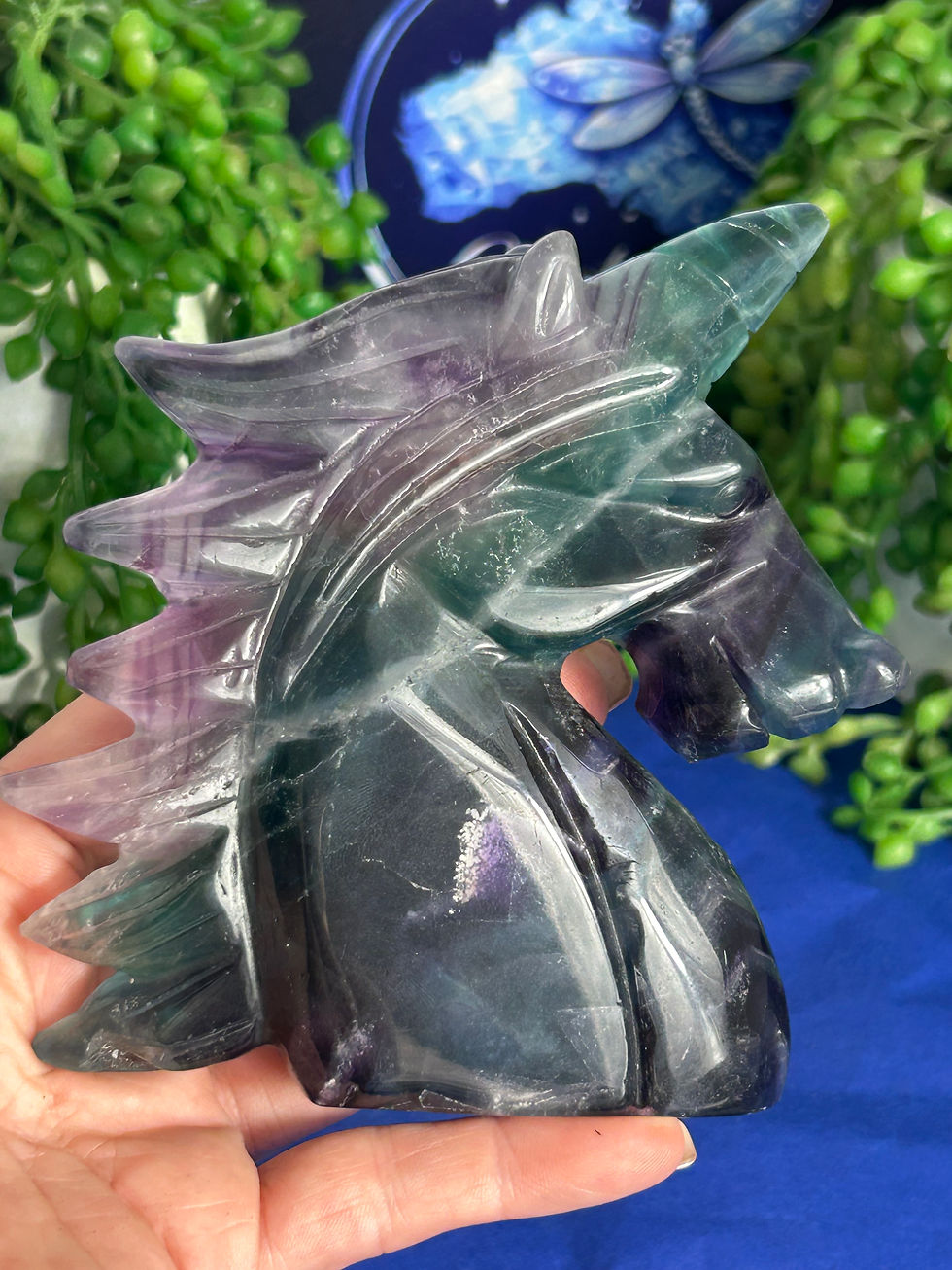 Thumbnail: Fluorite Unicorn 